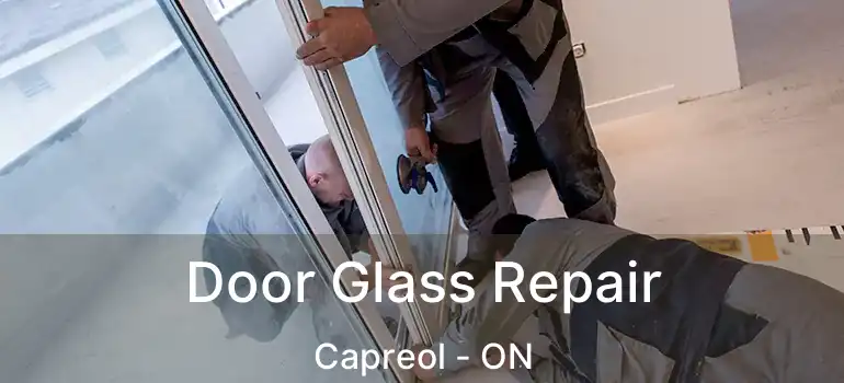  Door Glass Repair Capreol - ON