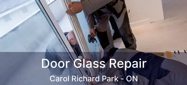  Door Glass Repair Carol Richard Park - ON