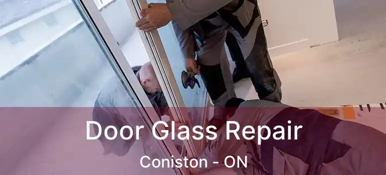  Door Glass Repair Coniston - ON