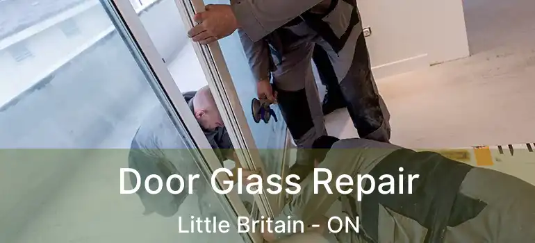  Door Glass Repair Little Britain - ON