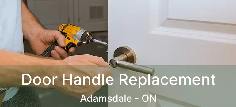  Door Handle Replacement Adamsdale - ON