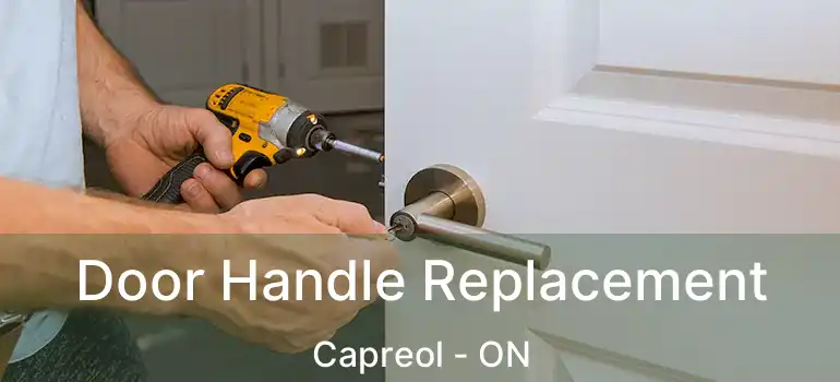  Door Handle Replacement Capreol - ON