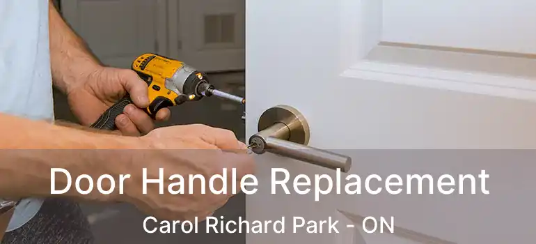  Door Handle Replacement Carol Richard Park - ON