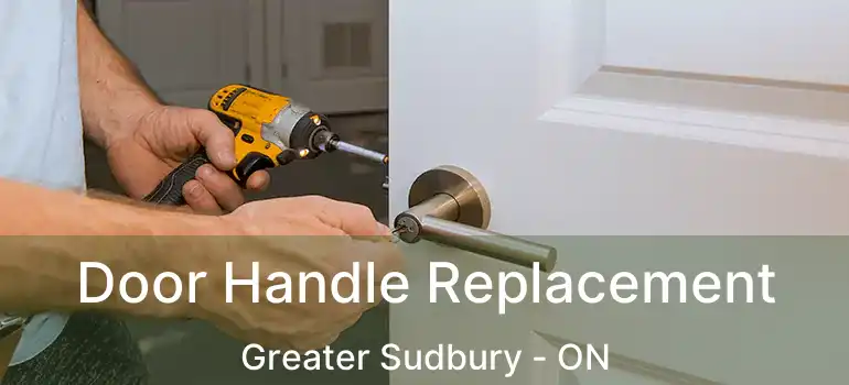  Door Handle Replacement Greater Sudbury - ON