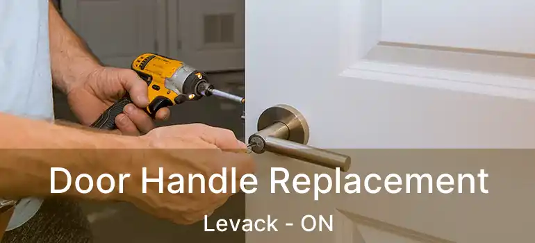  Door Handle Replacement Levack - ON