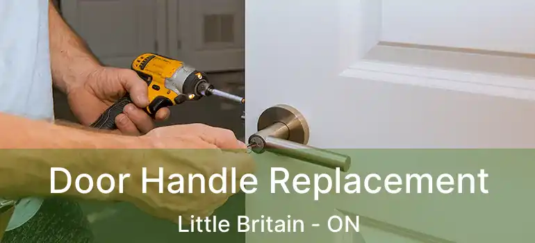  Door Handle Replacement Little Britain - ON
