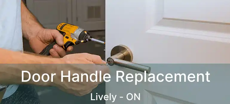  Door Handle Replacement Lively - ON