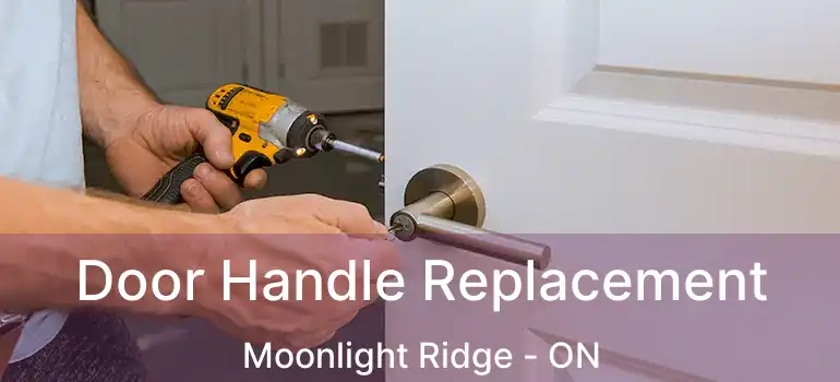  Door Handle Replacement Moonlight Ridge - ON