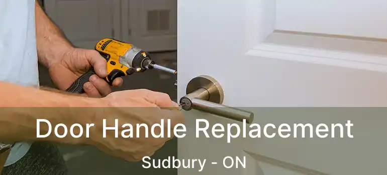  Door Handle Replacement Sudbury - ON
