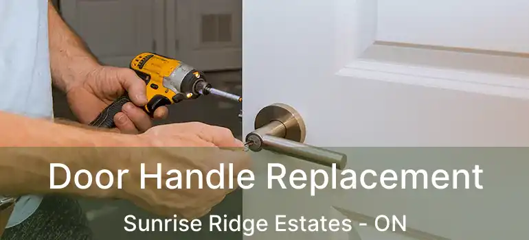  Door Handle Replacement Sunrise Ridge Estates - ON