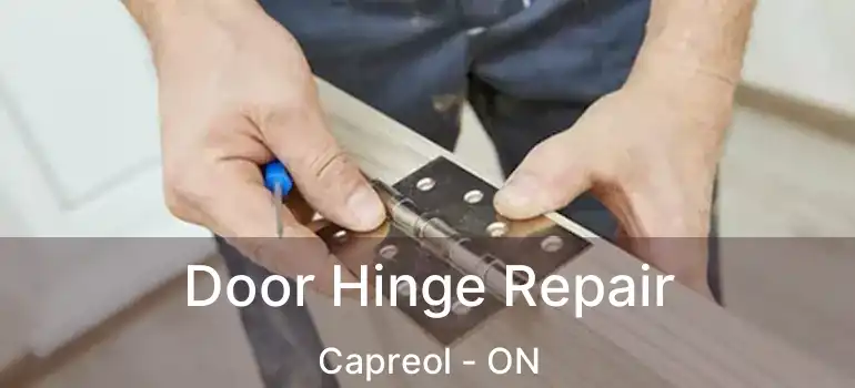  Door Hinge Repair Capreol - ON