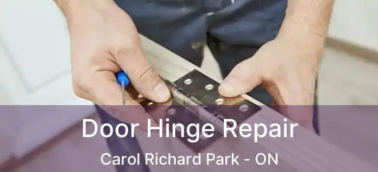  Door Hinge Repair Carol Richard Park - ON