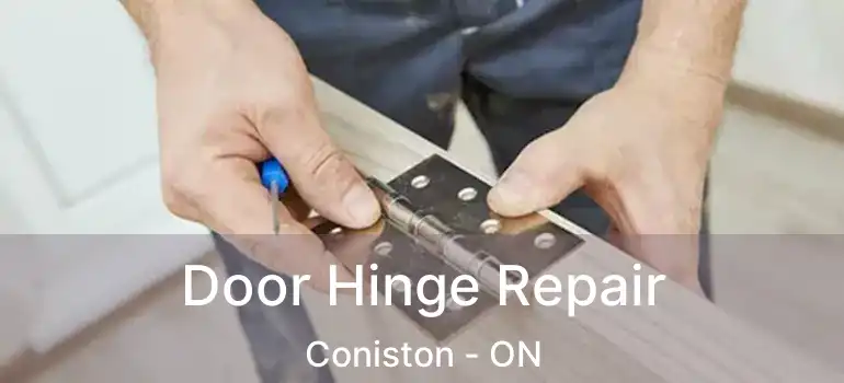  Door Hinge Repair Coniston - ON