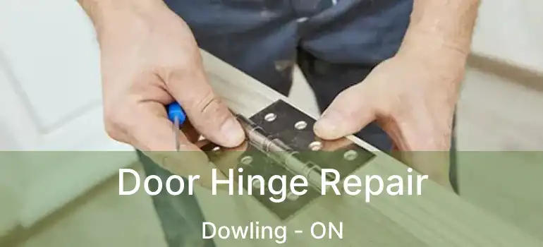  Door Hinge Repair Dowling - ON