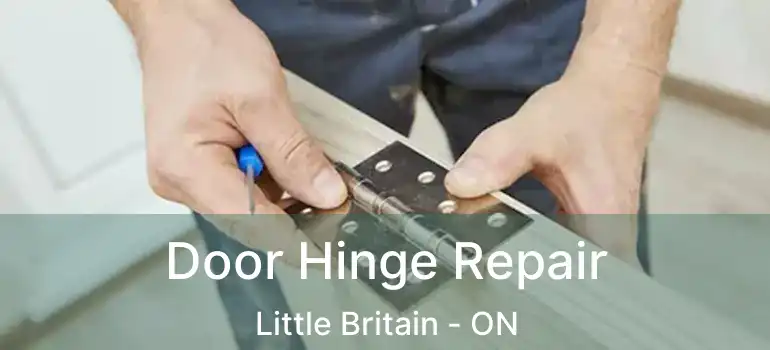  Door Hinge Repair Little Britain - ON