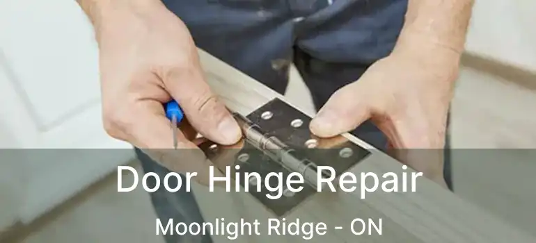  Door Hinge Repair Moonlight Ridge - ON
