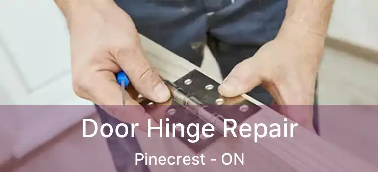  Door Hinge Repair Pinecrest - ON
