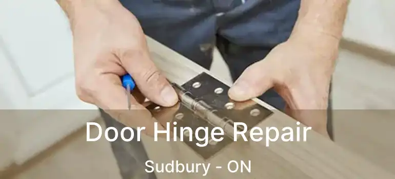  Door Hinge Repair Sudbury - ON