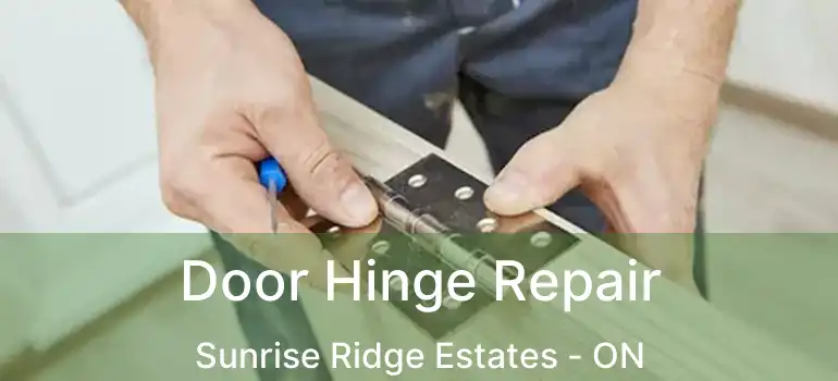  Door Hinge Repair Sunrise Ridge Estates - ON