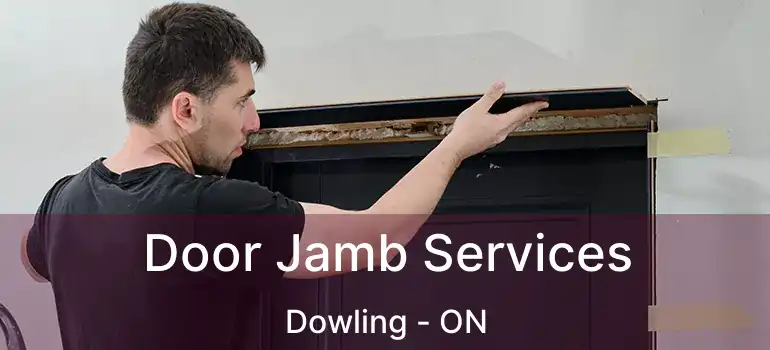  Door Jamb Services Dowling - ON