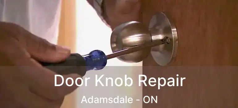  Door Knob Repair Adamsdale - ON