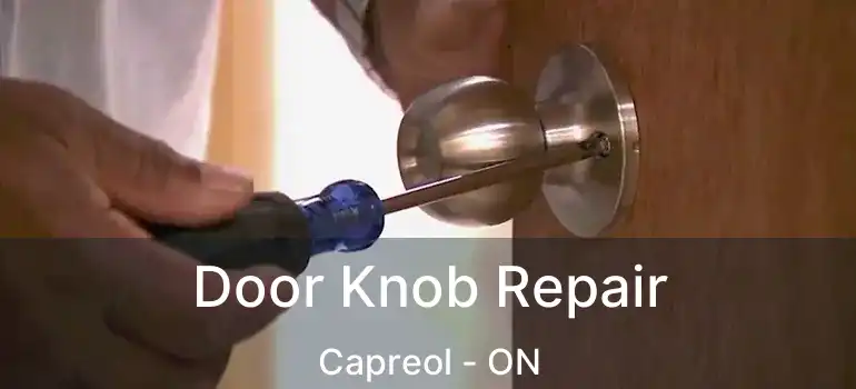  Door Knob Repair Capreol - ON