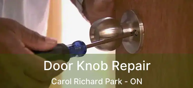  Door Knob Repair Carol Richard Park - ON