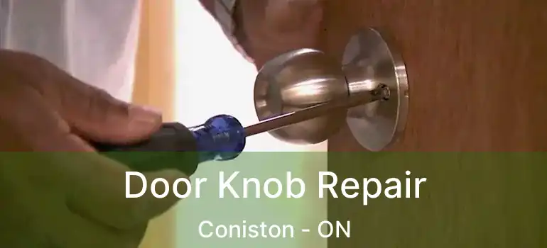  Door Knob Repair Coniston - ON