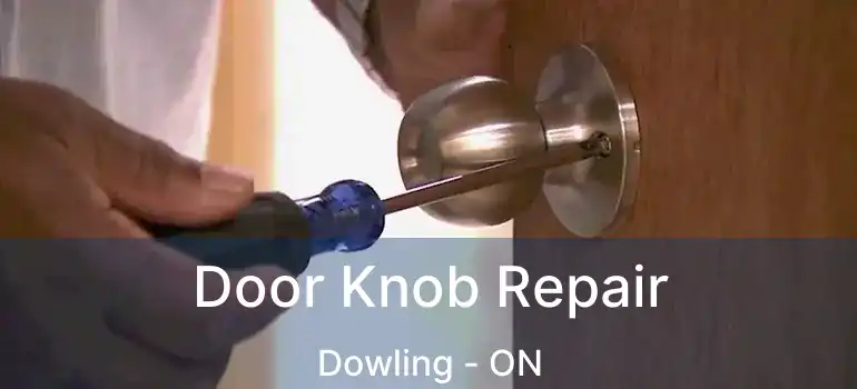  Door Knob Repair Dowling - ON