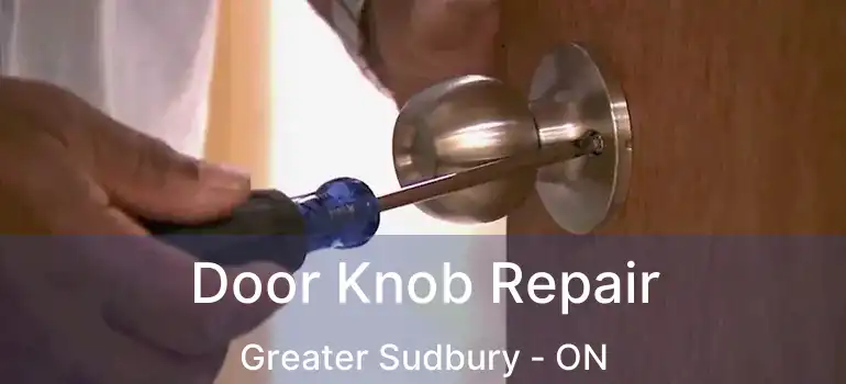  Door Knob Repair Greater Sudbury - ON