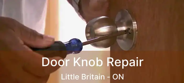  Door Knob Repair Little Britain - ON