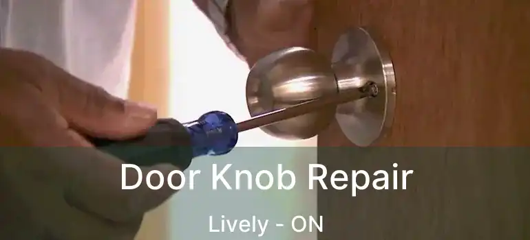  Door Knob Repair Lively - ON