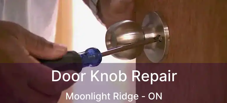  Door Knob Repair Moonlight Ridge - ON