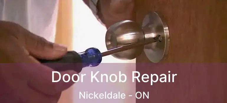  Door Knob Repair Nickeldale - ON