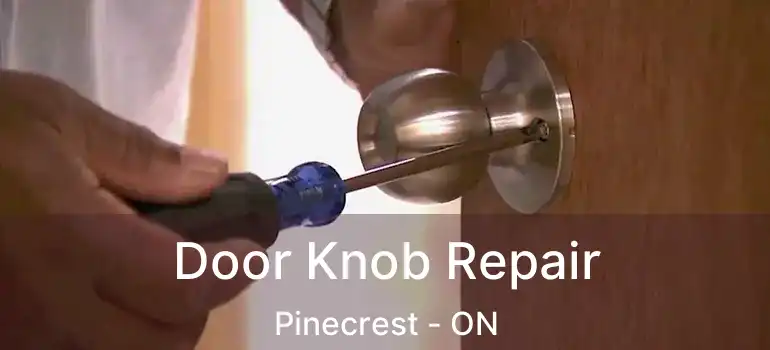  Door Knob Repair Pinecrest - ON