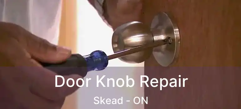  Door Knob Repair Skead - ON