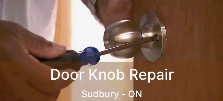  Door Knob Repair Sudbury - ON