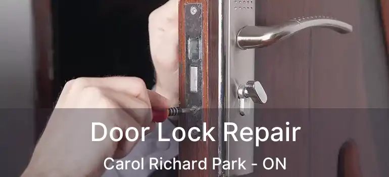  Door Lock Repair Carol Richard Park - ON