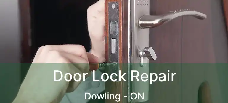  Door Lock Repair Dowling - ON