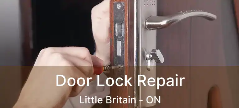  Door Lock Repair Little Britain - ON