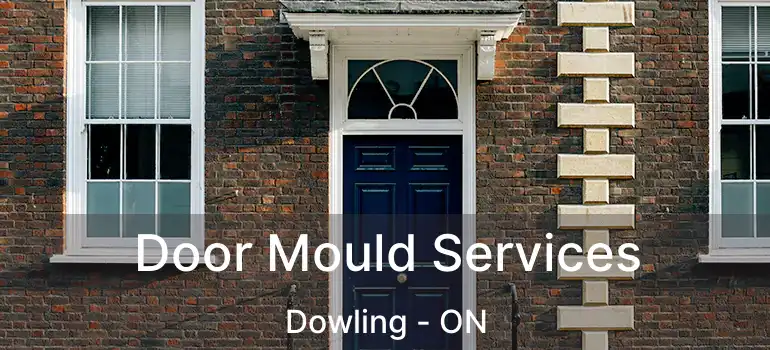  Door Mould Services Dowling - ON
