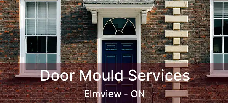  Door Mould Services Elmview - ON