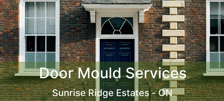  Door Mould Services Sunrise Ridge Estates - ON