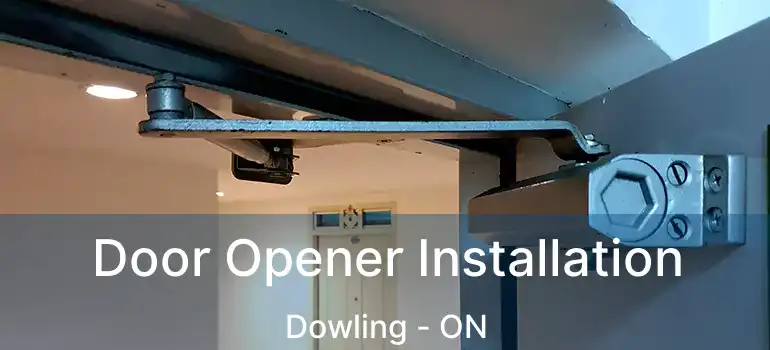  Door Opener Installation Dowling - ON