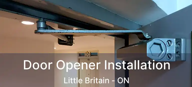  Door Opener Installation Little Britain - ON
