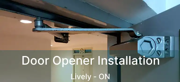  Door Opener Installation Lively - ON