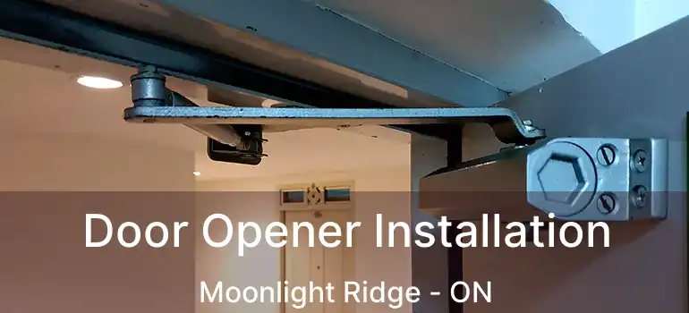  Door Opener Installation Moonlight Ridge - ON