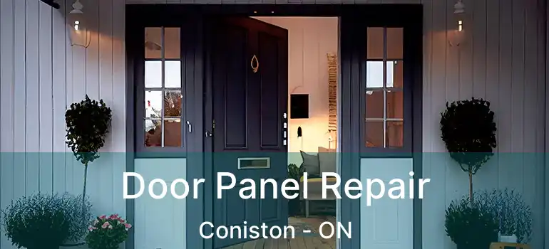 Door Panel Repair Coniston - ON