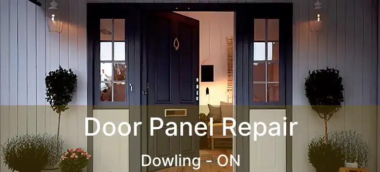  Door Panel Repair Dowling - ON