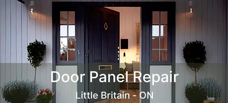  Door Panel Repair Little Britain - ON